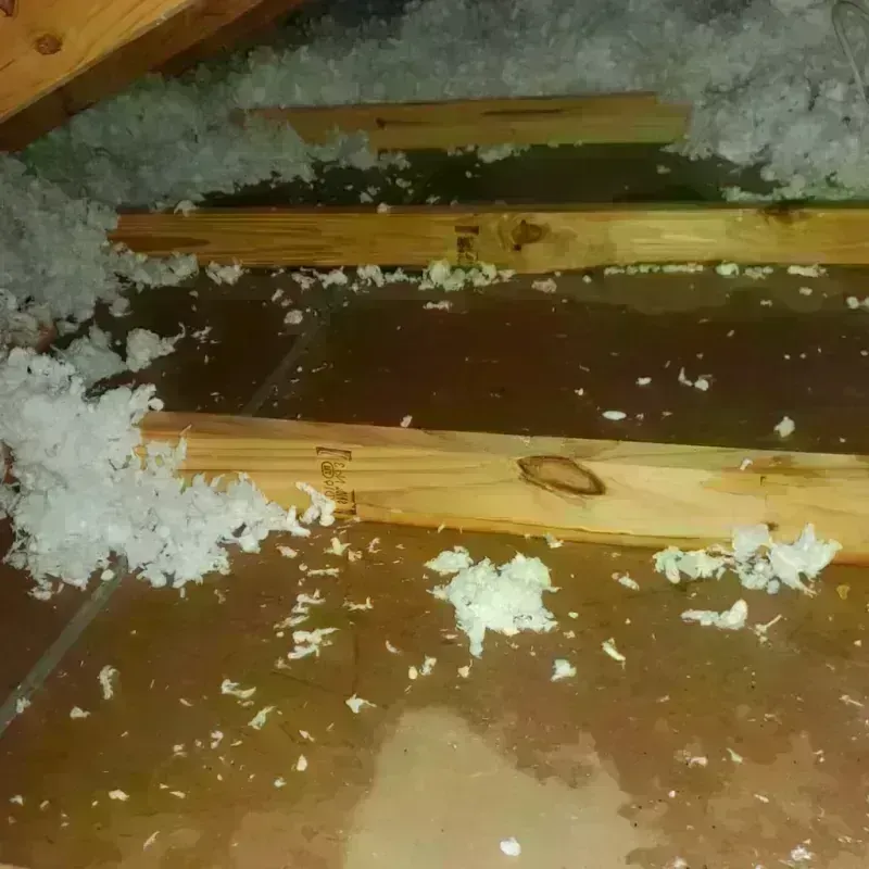 Attic Water Damage in Jackson, GA