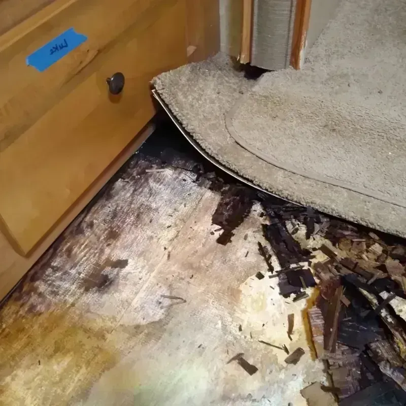 Wood Floor Water Damage in Jackson, GA